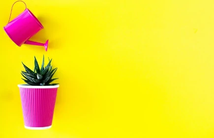 Giardino Outdoor