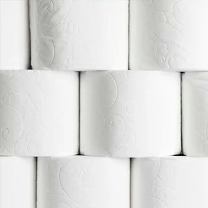 Ingrosso carta igienica - Stock prezzo più basso offerte al miglior prezzo