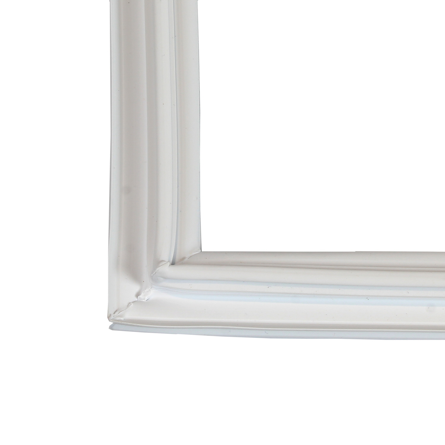 GUARNIZ.MAGNET. CONGEL