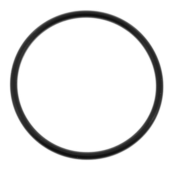 GUARNIZIONE POMPA SCAR