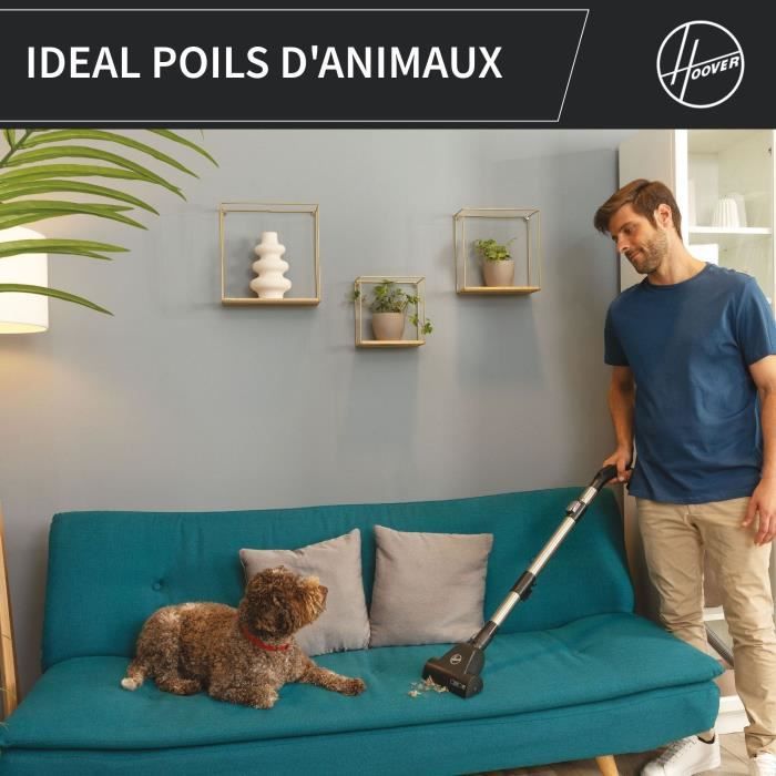 Aspirapolvere senza sacco - HOOVER - HP321PAF - 850 W - 75 dBA - 2 L - Grigio