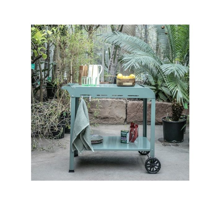 Carrello Plancha - LIVOO - GS168V - Verde / Nero