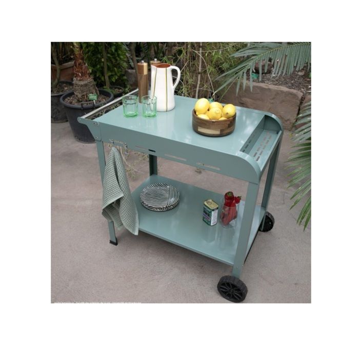 Carrello Plancha - LIVOO - GS168V - Verde / Nero