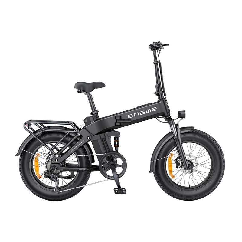 ENGWE PRO 3.0 BOOST 250W Bicicletta Elettrica 20" (Nero)
