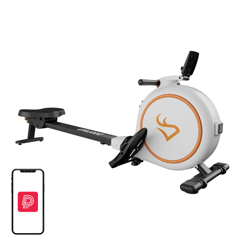 Cyclette Magnetica Deer Run RW600 (Bianca) - Miglior Allenamento Cardiovascolare per la Tua Casa