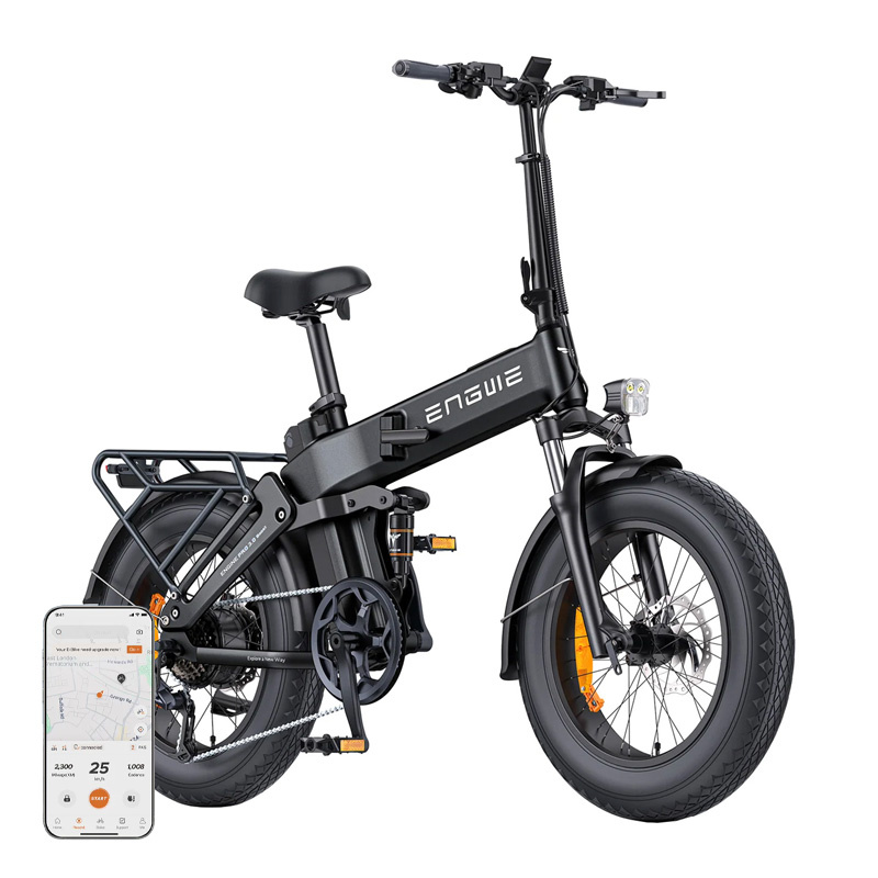 ENGWE PRO 3.0 BOOST 250W Bicicletta Elettrica 20" (Nero)
