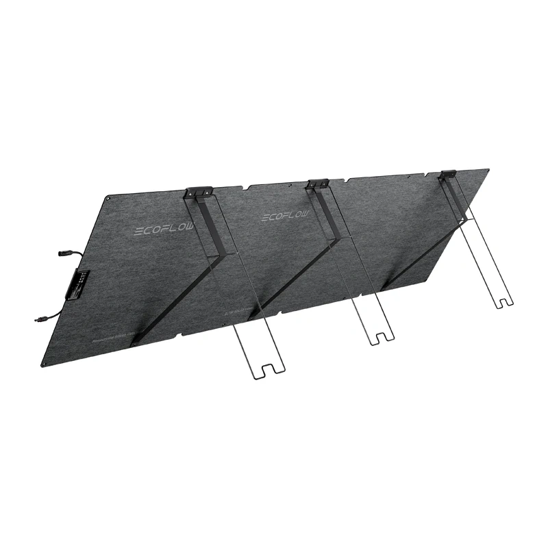 EcoFlow Pannello Solare Portatile da 220W