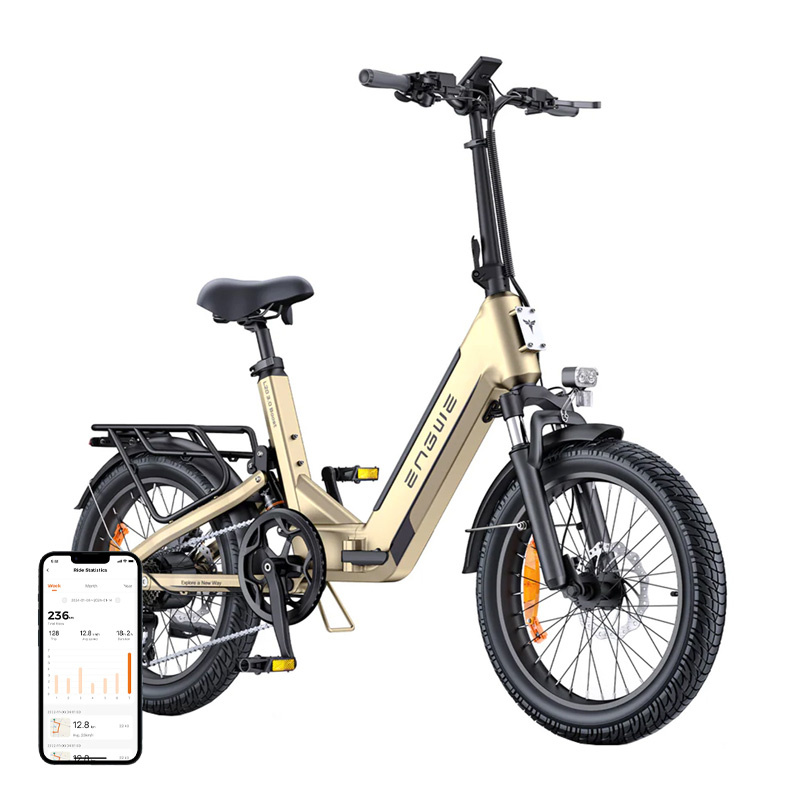 ENGWE L20 3.0 BOOST 250W Bicicletta Elettrica 16" (Oro)