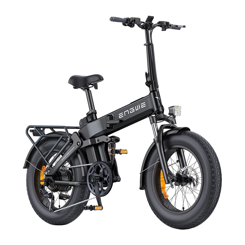 ENGWE PRO 3.0 BOOST 250W Bicicletta Elettrica 20" (Nero)
