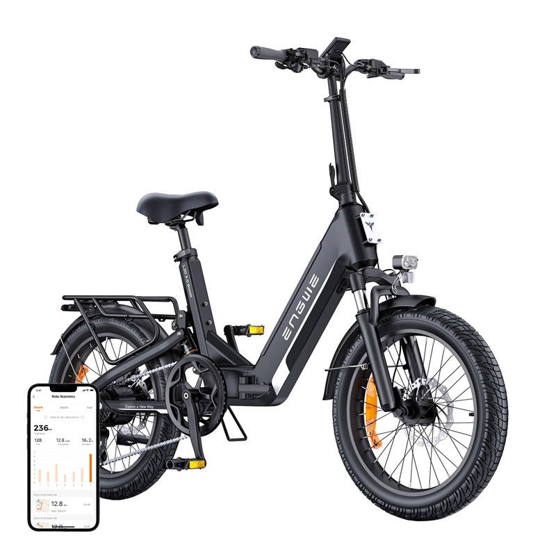 Bicicletta Elettrica ENGWE L20 3.0 BOOST 250W 20" (Nero)