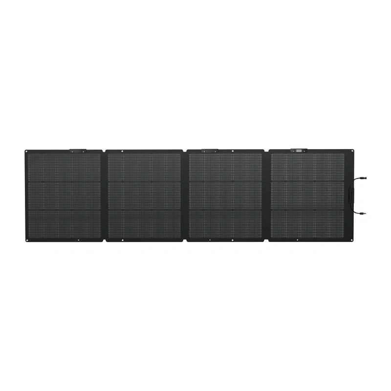 EcoFlow Pannello Solare Portatile da 220W