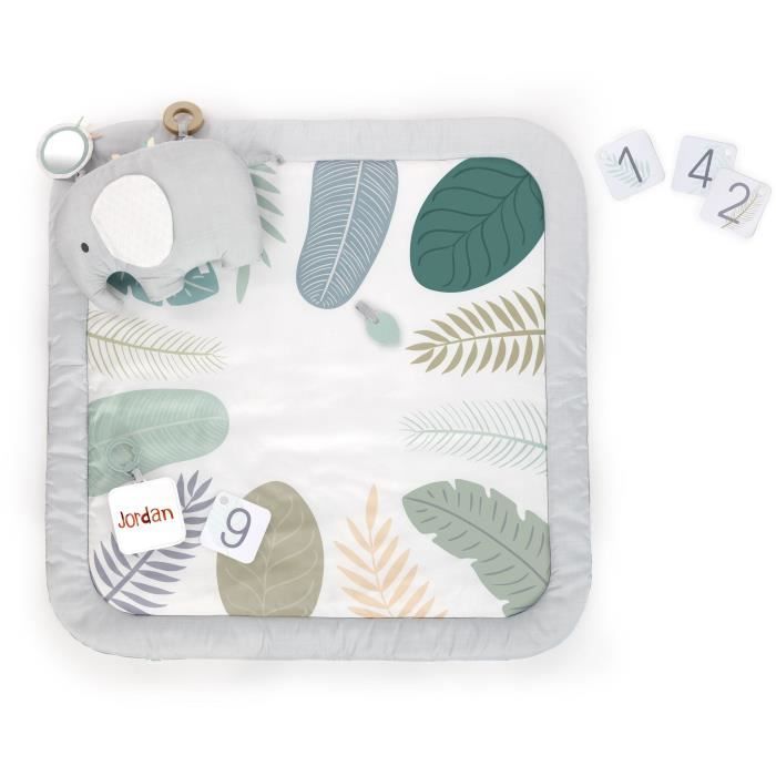 Ingenuit� Spot Spot Attacco di tappeti - Evolutivo - 12 carte evolutive - 7,62 x 102 x 102 cm - multicolore - des Ben