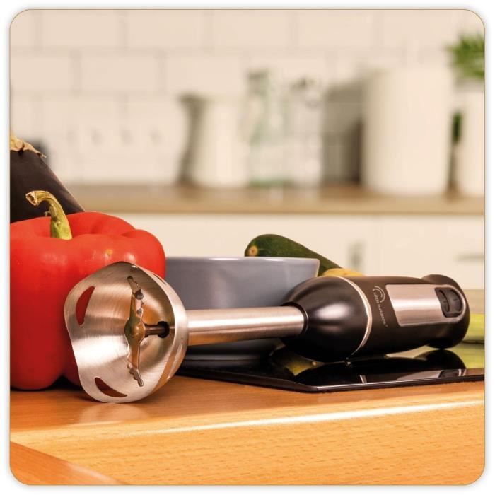Frullatore a immersione Speed Inox 600