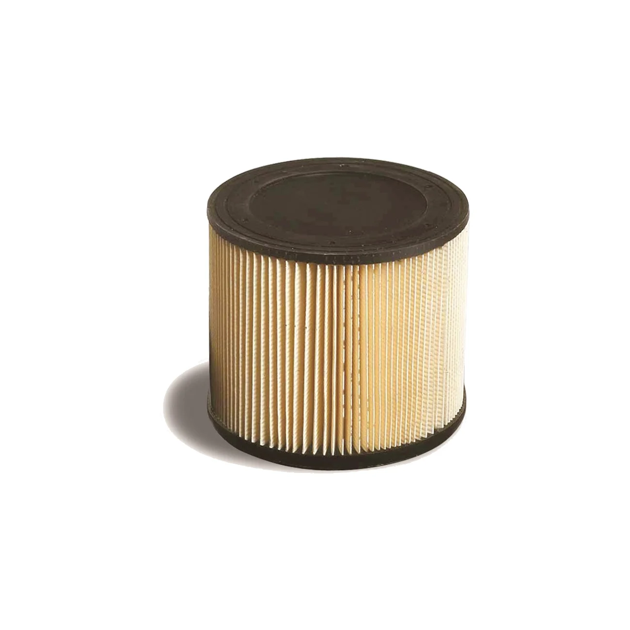 Filtro a cartuccia per aspirapolvere professionale AS 7 P