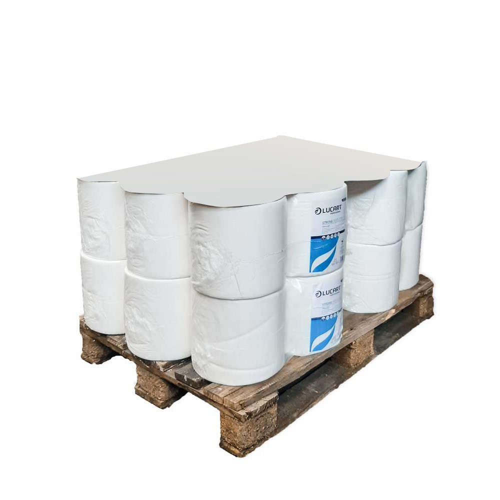 Imballo 12 confezioni da 2 bobine carta 800 strappi asciugatutto Strong Lucart