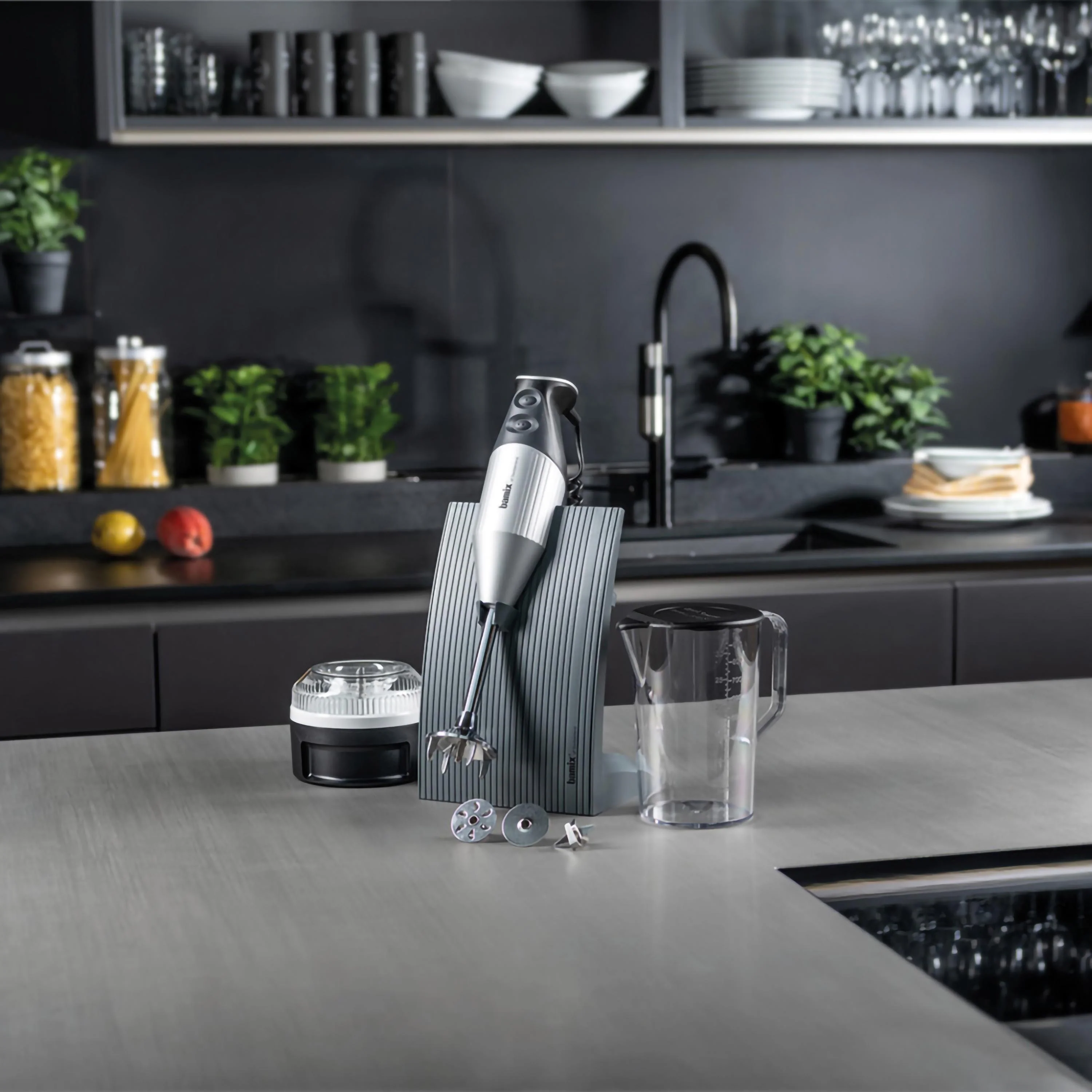 Frullatore ad immersione Bamix SwissLine Silver