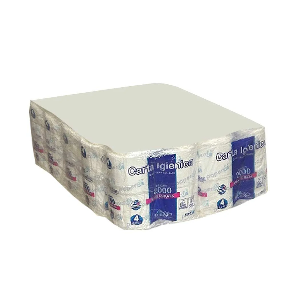 Imballo 10 confezioni di carta igienica 4 rotoli 2000 strappi Paperdi
