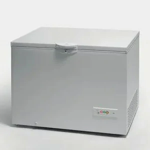 Congelatore a pozzetto Indesit 315 LT E BIANCO OS 2A 300 H