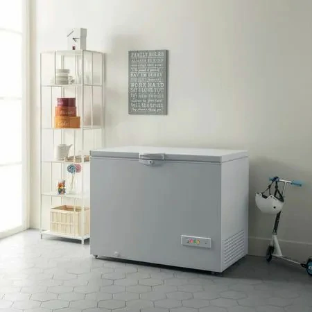 Congelatore a pozzetto Indesit 315 LT E BIANCO OS 2A 300 H