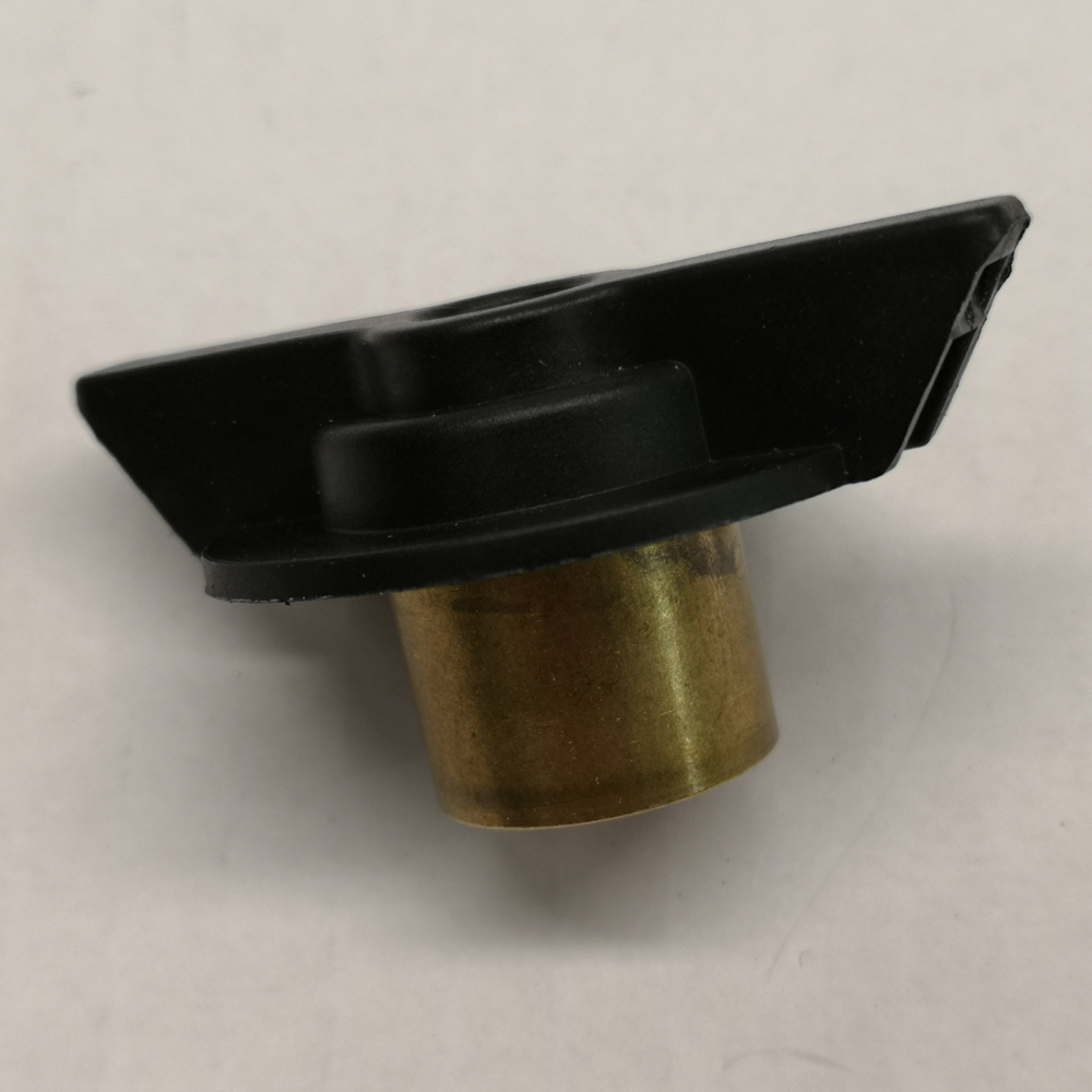 ASSIEME TAPPO CALDAIA 6423