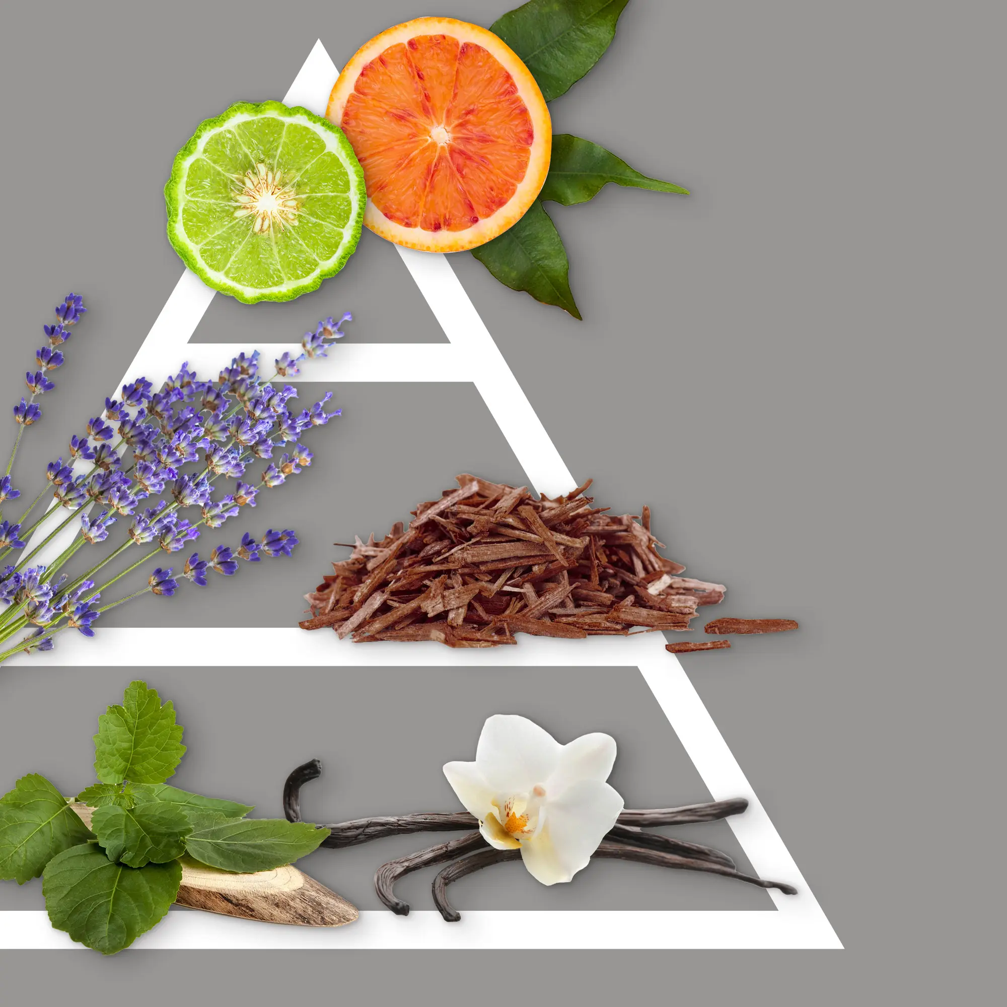 Profumatore ambiente con fiore 100 ml Sandalo Nobile