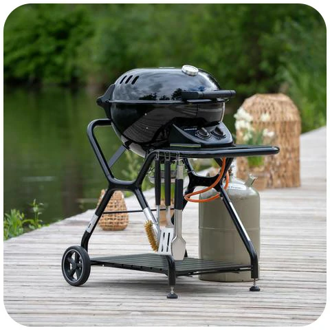 barbecue in riva al lago
